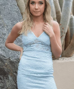 Bubu Lace Mid Panel Mesh Mini Dress