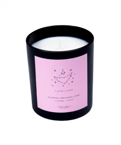 Flamingo Candles Lifestyle Capricorn Zodiac Meditation Candle
